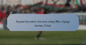 Riyaad Norodien: Karriere milepæle, Vigtige kampe, Priser
