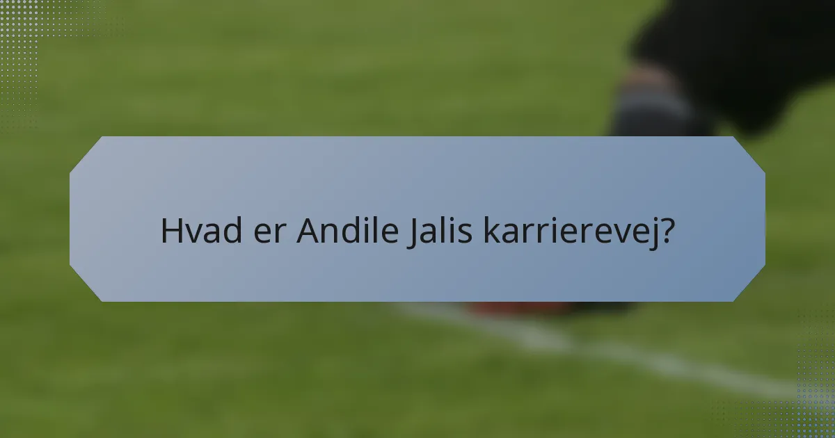 Hvad er Andile Jalis karrierevej?