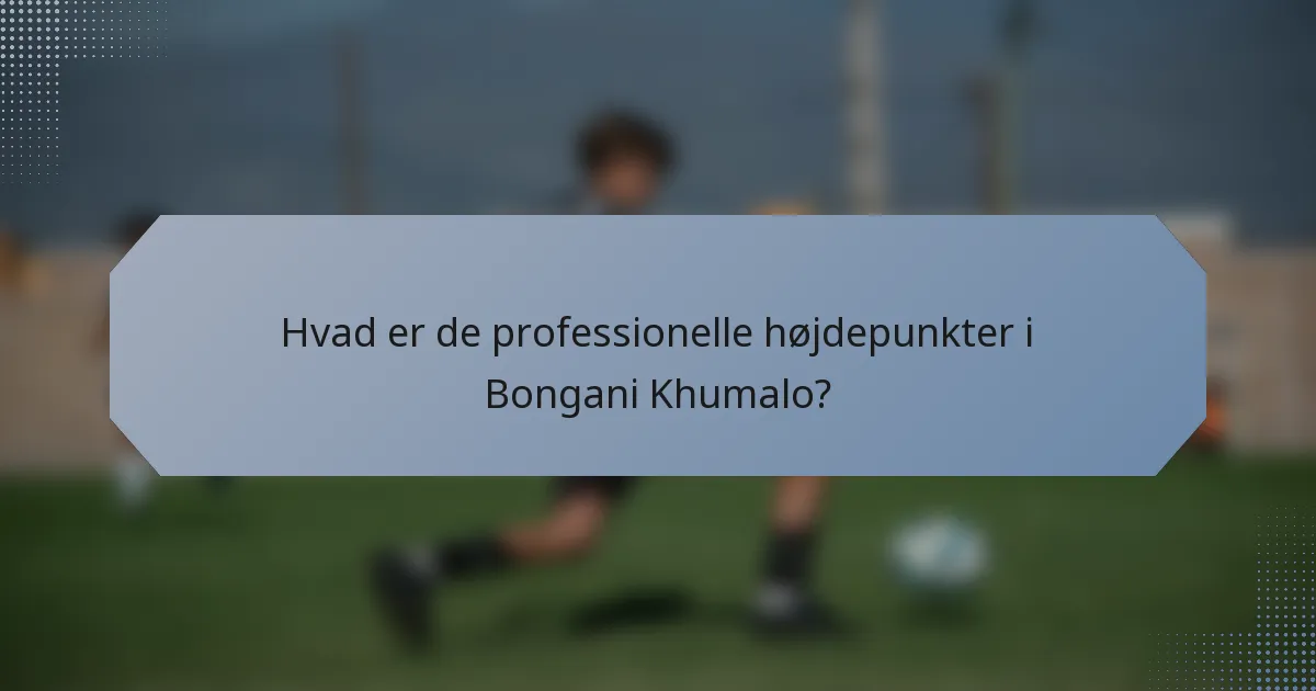 Hvad er de professionelle højdepunkter i Bongani Khumalo?