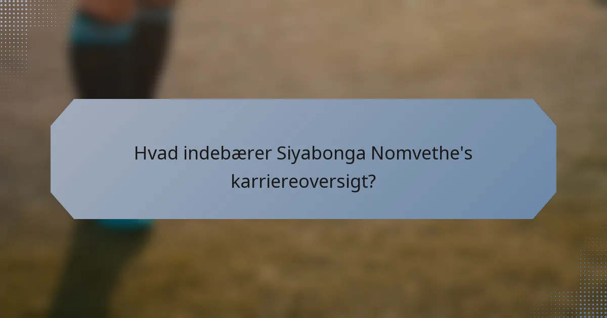 Hvad indebærer Siyabonga Nomvethe's karriereoversigt?