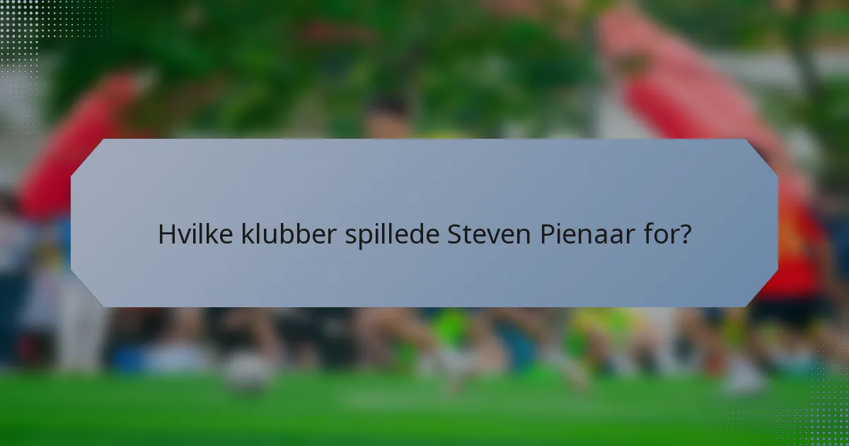 Hvilke klubber spillede Steven Pienaar for?