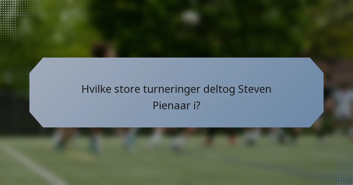 Hvilke store turneringer deltog Steven Pienaar i?
