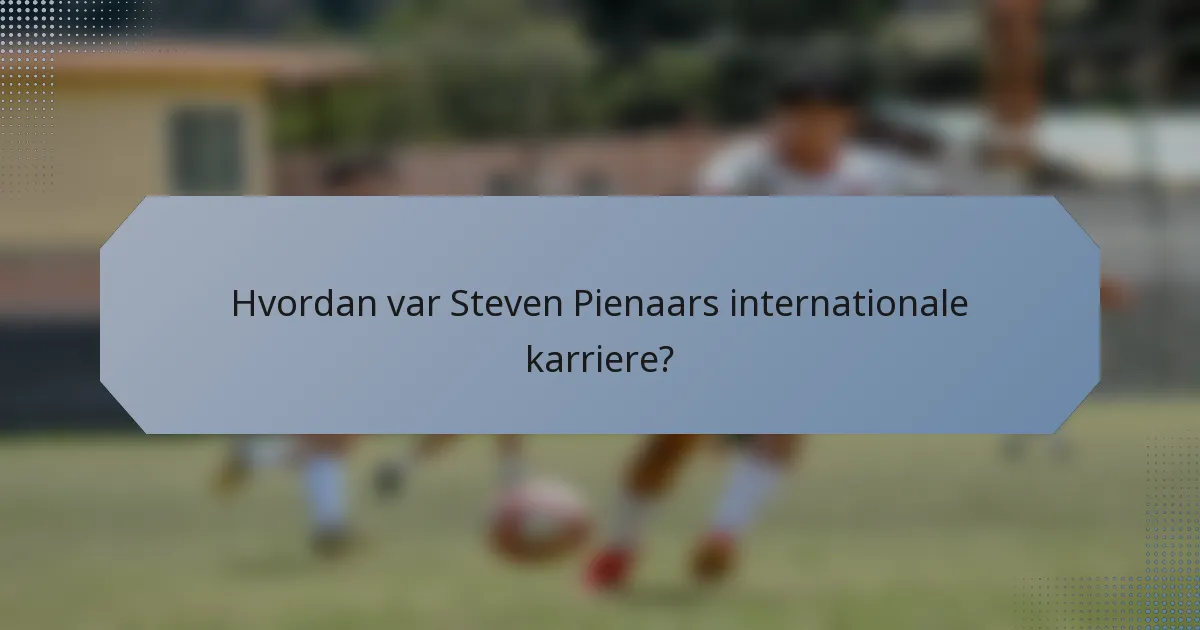 Hvordan var Steven Pienaars internationale karriere?